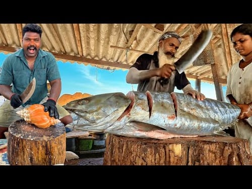 Ultimate Fish Cutting Masters – Legendary Cuts You Must See!