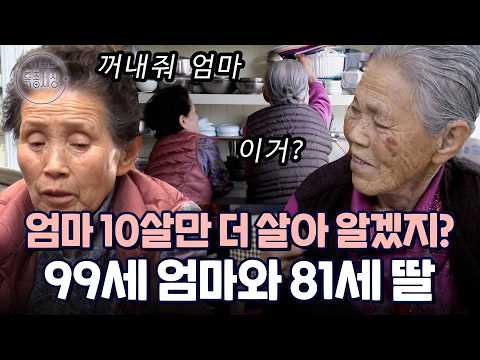 폐허가 된 유령마을, 빈 집을 찾아 헤매는 할머니의 정체는|다시보는 특종세상 EP.402