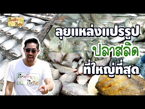Raid the largest processed fish source | Tung Phrik Tung Khing
