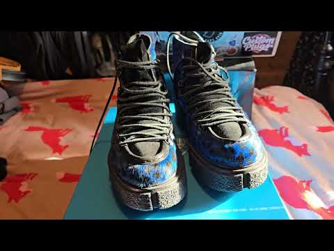 Fluevog Hooke shoe review with a special guest