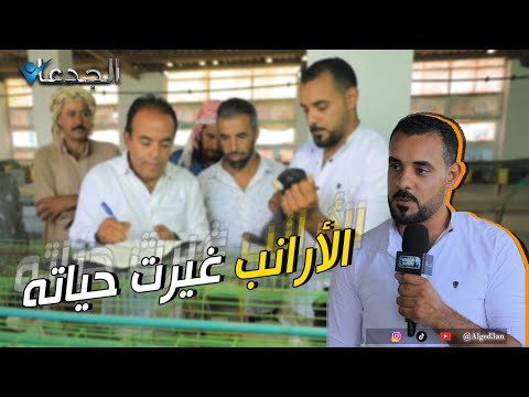 هشام المصري.. غيرت الأرانب حياته بنسبة ١٨٠ درجة.. من ٥٠ أم بقوا ٢٩٠ منتجين