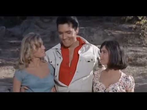 I think there's something wrong with the number of toes.