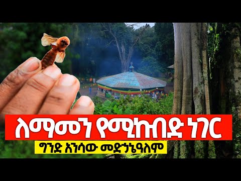 🎈ለማመን የሚከብድ ነገር ተፈጥሯል 🎈 ግንድ አንሳው መድኃኔዓለም ( 0916542642 0911392094 0916855609 0911076962 )