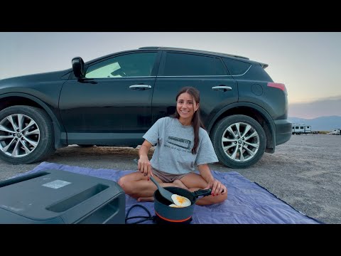 How to survive car life