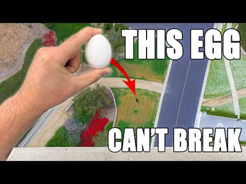 How to easily win any Egg Drop Challenge
