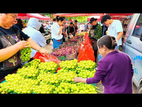 Xisanzhuang Morning Market, Shijiazhuang, Hebei, China