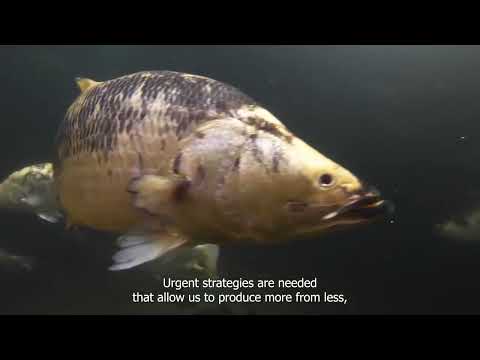 ARC Training Centre in Predictive Breeding