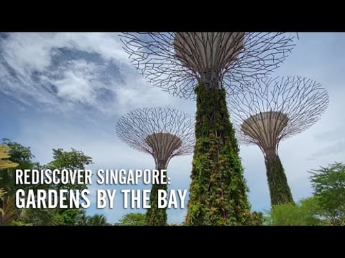 Rediscover Singapore: Gardens by the Bay. 新加坡滨海湾花园