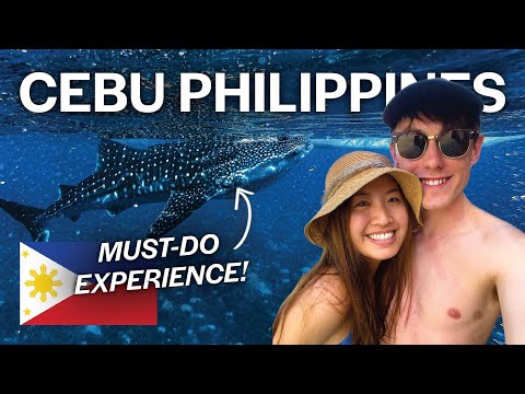 Cebu's Whale Sharks & Kawasan Falls: Philippines Ultimate Experience ๐ต๐ญ