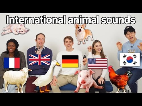 Animal Sound Differences Around The World!