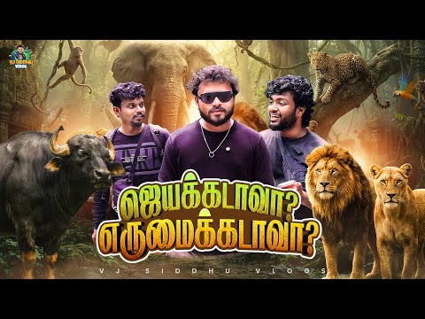 நானும் Status-லாம் பாப்பேன் 😳😱 | Vietnam series | Ep - 13 | Vj Siddhu Vlogs