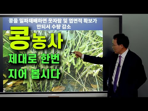 콩 농사 제대로 한번 지어 봅시다!