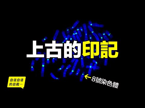 Why It Is Called Lemon Everywhere?An Ancient Story on 8th Chromosome...