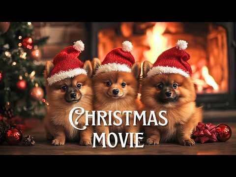 Christmas with the Pups: Best Family Movie | FULL FILM WATCH FOR FREE