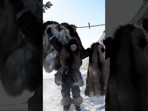 A Journey Into the Extraordinary Life of Yakutian Nomads Part 2