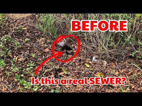 This Manhole Was BURIED for YEARS… Until I Cleaned It