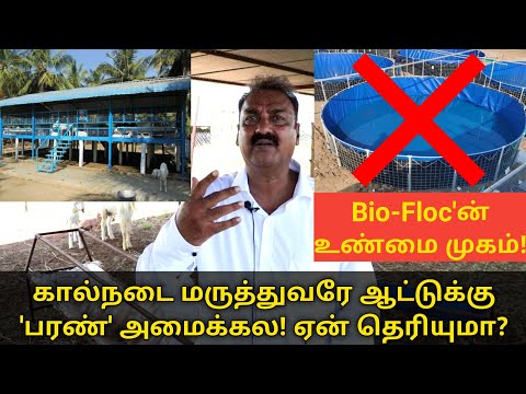 ஆட்டு பண்ணைக்கு பரண் போடபோறிங்களா? Bio Floc - என்னதான் நடக்குது