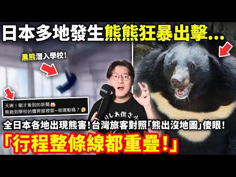 全日本多地發生熊熊狂暴出擊...台灣旅客對照「熊出沒地圖」傻眼「行程整條線都重疊!」...小鄭在日本