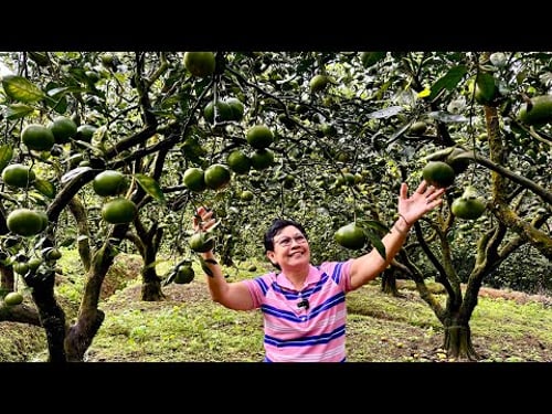 The Secrets to Becoming a Millionaire Farmer: High Tonnage, High Value