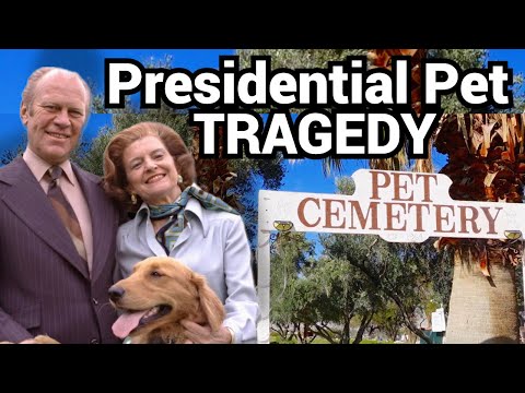 One Man Maintains This Entire Celebrity Pet Cemetery Alone