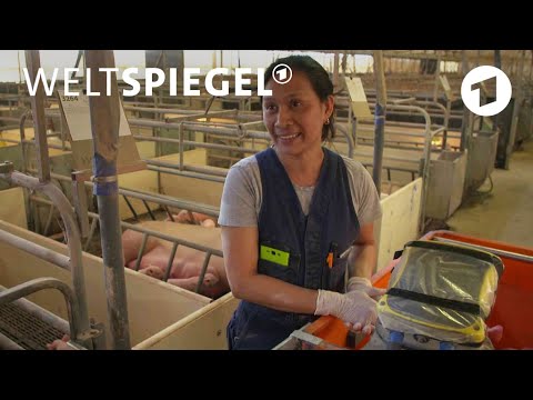 Australien: Einwanderer ins Outback | Weltspiegel