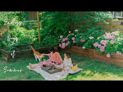 #148 Days of summer: harvest cherries & blueberries, making sorbet 🍧, summer baking, Ghibli concert