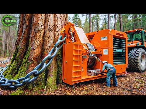 Extreme Dangerous Fastest Big Chainsaw Cutting Tree Machines | Monster Stump Removal Excavator #143