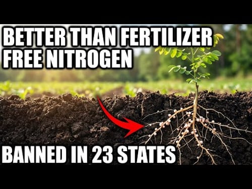 The Nitrogen Tree. Fertilizes Itself Forever. Banned in 23 States Because It Doesn't Need Monsanto