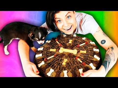САМЫЙ ГИГАНТСКИЙ ТОРТ ДЛЯ СОБАКИ ! Безумный щенок играет, гигантский торт DIY Magic Family