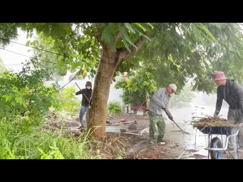 A Brutal Rainstorm Cleanup Left Us Collapsed on the Sidewalk — Truly Shocking. #cleanup #cleaning