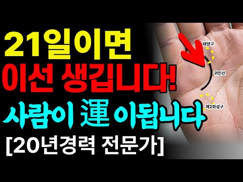부자손금 있는데 가난한 이유 7가지 | 귀인선 없으면 평생 배신당합니다 (21일 만들기)