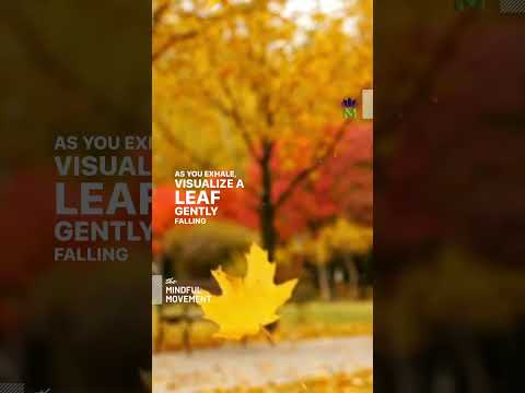 Embrace Change #shorts | Mindful Movement