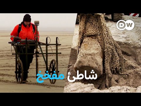 وثائقي | خطر في بحر الشمال - البحث عن ذخائر متفجرة من الحرب العالمية الثانية | وثائقية دي دبليو