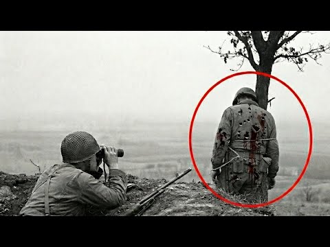 How a 20-Year-Old's 'Human Bait Trick' Killed 52 Germans and Saved His Brothers in Arms