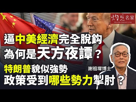 字幕|謝祖墀博士:逼中美經濟完全脫鈎為何是天方夜譚? 特朗普貌似強勢 政策受到哪些勢力掣肘?|灼見財經|2025-04-22