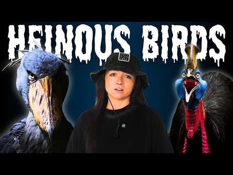 Why I Still Have A Problem With Birds