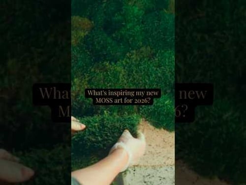 New MOSS ART coming 2026 #artinstallation #artinspiration #moss #greenwall #femaleartists #plantart