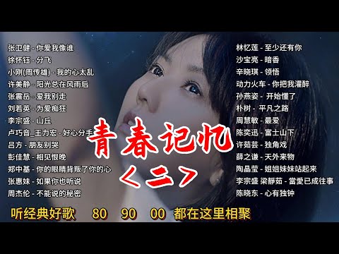 那些年我们听过的情歌 你还记得吗?|畅听2小时华语经典|感动一整晚
