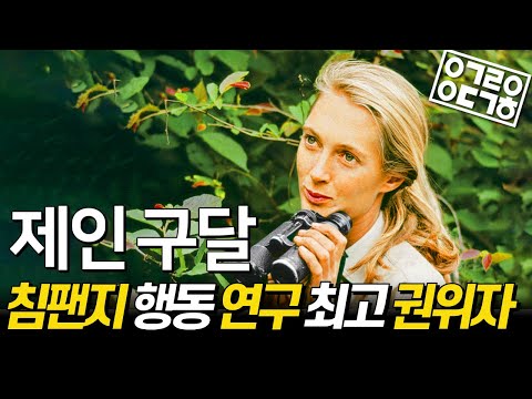 침팬지 행동 연구 세계 최고 권위자, '제인 구달'을 아십니까?