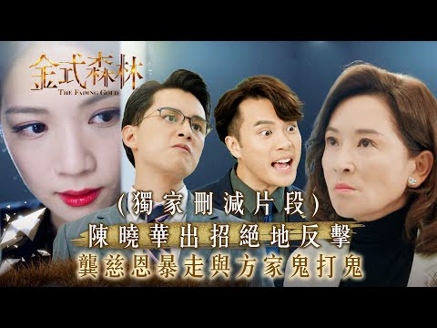 金式森林|(有獨家刪減片段)陳曉華出招絕地反擊 龔慈恩暴走與方家鬼打鬼(繁/簡中字幕)|第二十五集大結局精華|TVB劇集|台慶劇|港劇|劇集|電視劇|TVB #陳曉華 #龔慈恩 #金式森林