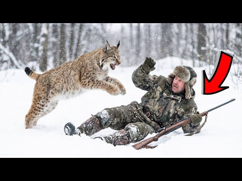 РЫСЬ ПРЫГНУЛА НА ОХОТНИКА В УПОР — когда он понял ЗАЧЕМ, то РАЗРЫДАЛСЯ как ребёнок!