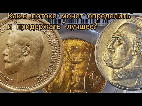 Как распознать, купить и удержать перспективную монету?