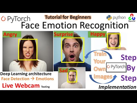 Realtime Face Emotion Recognition | PyTorch | Python| Deep Emotion | Stepwise Implementation