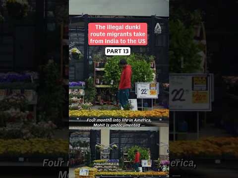 (Pt 13) Illegal dunki route migrants take from India to the US