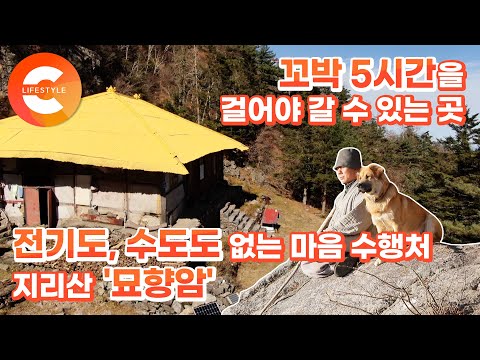 전기도 수도도 없는 해발 1,500m 전설의 암자. 리트리버 일광이와 호림스님이 '묘향암'에서 사는 법
