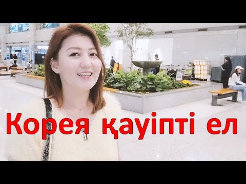 Қазақтар Кореяға келгенде міндетті түрде білу қажет 5 нәрсе | Корея қауіпті ел