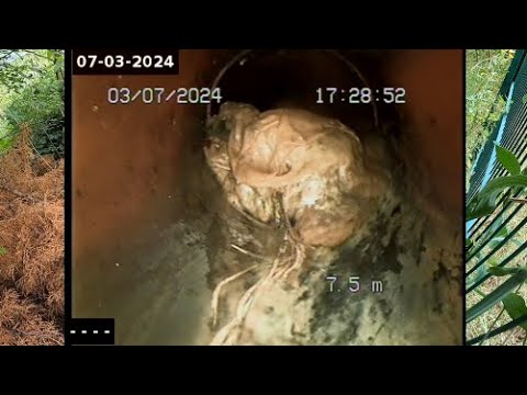 Kempinger 441. They got a surprise as I checked their house drain during there bathroom renovation.