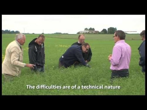 Origins of the Organic Linen Collection