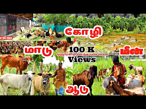 🔥 தரமான ஒருங்கிணைந்த பண்ணை // integrated farming // integrated farming system model #pannaiveedu