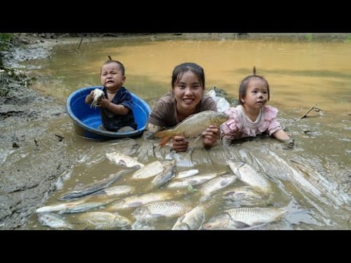 Harvesting a giant - long-standing fish pond - bringing it to the market to sell, with my young son